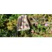 Vintage pure wool Welsh blanket in Soft Pastels CP44 - 
